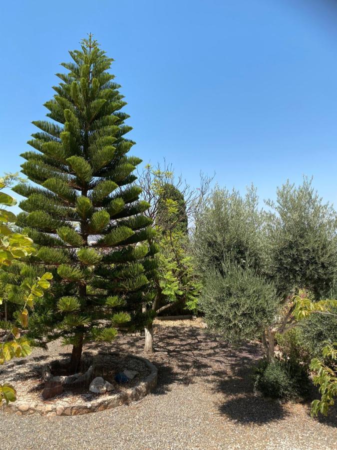B&B Casa Oceo - Malaga - Andalusie Alhaurín de la Torre Εξωτερικό φωτογραφία
