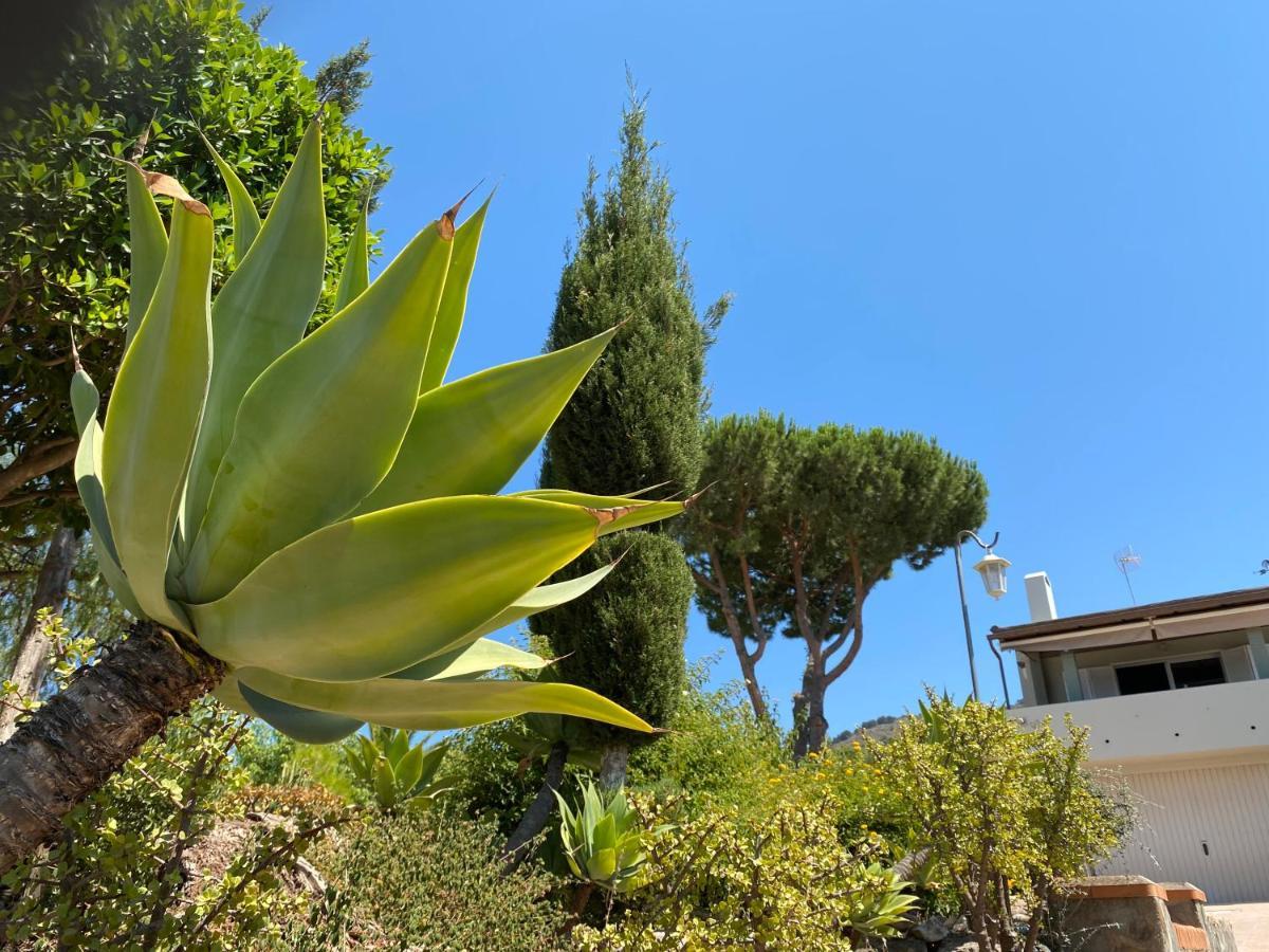 B&B Casa Oceo - Malaga - Andalusie Alhaurín de la Torre Εξωτερικό φωτογραφία