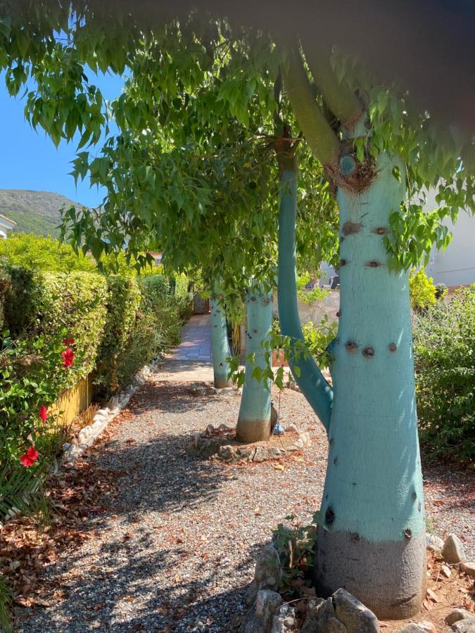 B&B Casa Oceo - Malaga - Andalusie Alhaurín de la Torre Εξωτερικό φωτογραφία