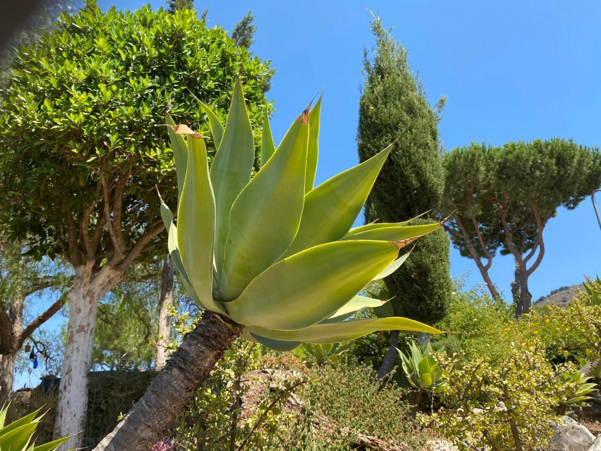 B&B Casa Oceo - Malaga - Andalusie Alhaurín de la Torre Εξωτερικό φωτογραφία